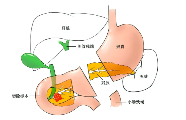 c715fac5307a4e95768c92682deb91ed.png 微信图片_20240415090712.png